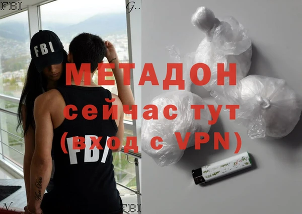 прущие грибы Наволоки