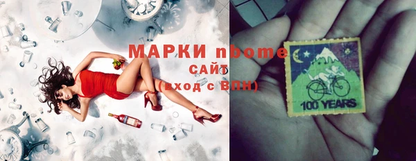 прущие грибы Наволоки