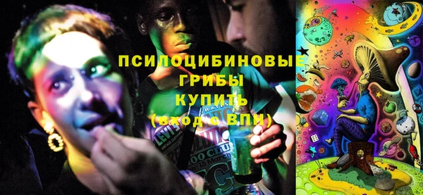 прущие грибы Наволоки