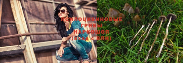 МДПВ Михайловка