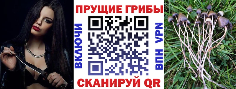 Галлюциногенные грибы мухоморы  Новая Ляля 